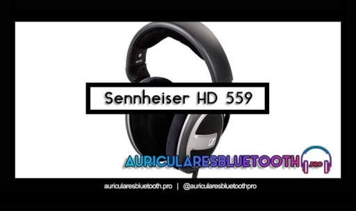 opinión y análisis auriculares sennheiser hd 559