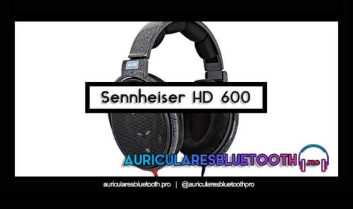 opinión y análisis auriculares sennheiser hd 600